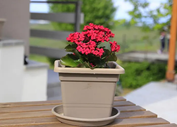 Nife Tiny House - Secret Garden Montalbo