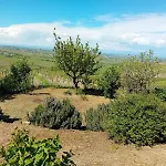 Nife Tiny House - Secret Garden Villa Montalbo