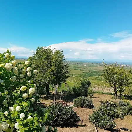 Nife Tiny House - Secret Garden Villa *