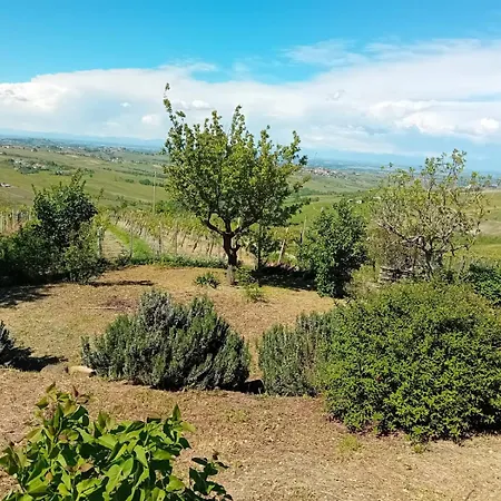 Nife Tiny House - Secret Garden Villa Montalbo