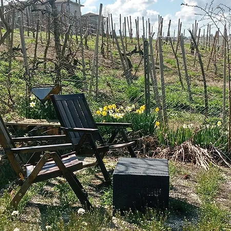 Nife Tiny House - Secret Garden فيلة *