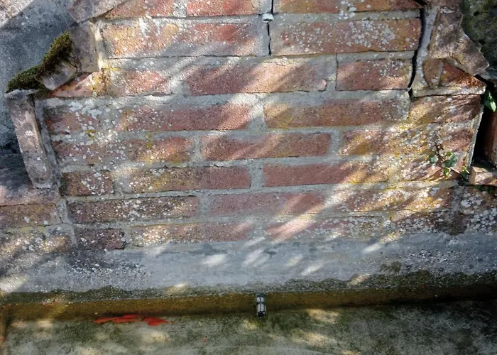 Nife Tiny House - Secret Garden *