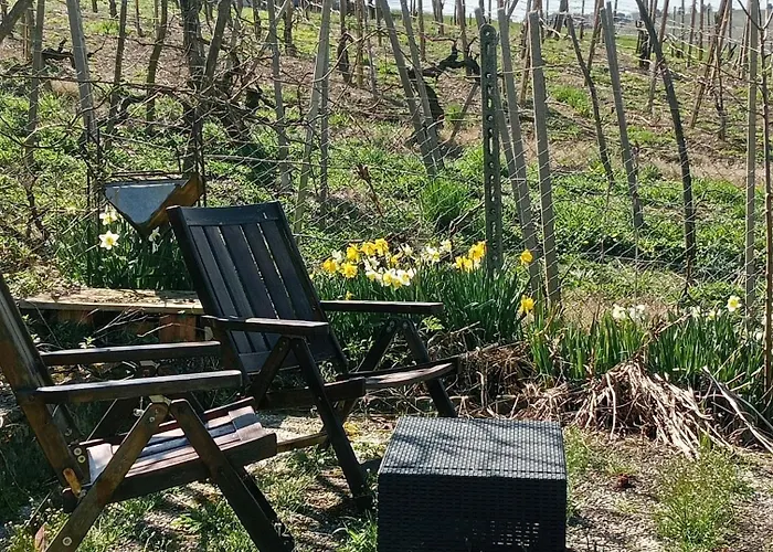 Nife Tiny House - Secret Garden Вилла *